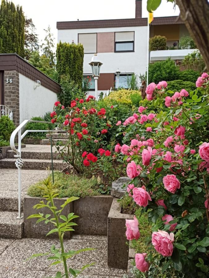 Apartments Gala, Ruhige Lage, Stadtnah Bad Kissingen Buitenkant foto