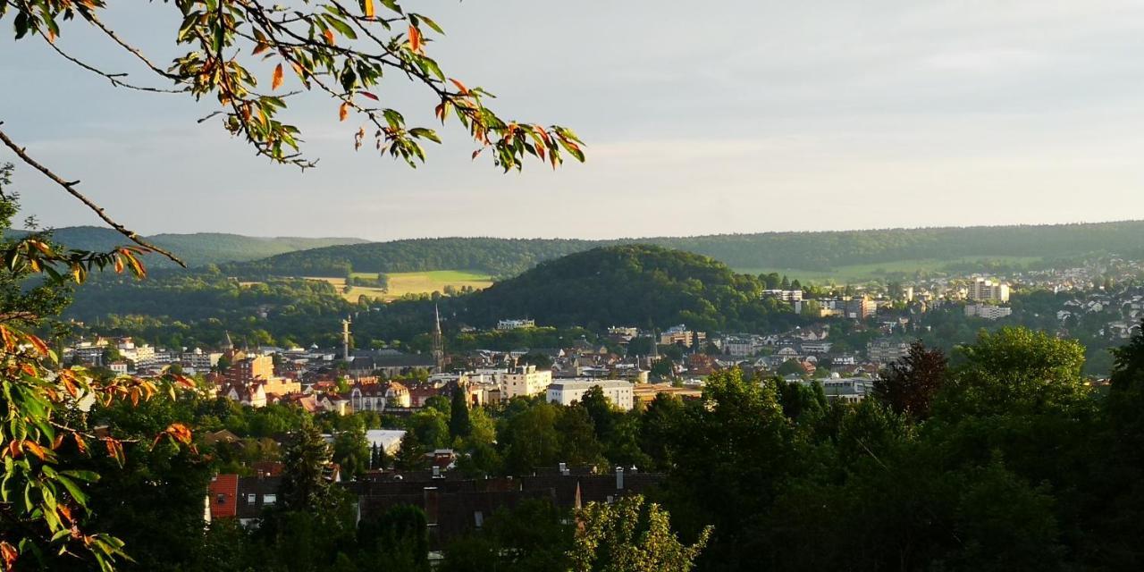 Apartments Gala, Ruhige Lage, Stadtnah Bad Kissingen Buitenkant foto