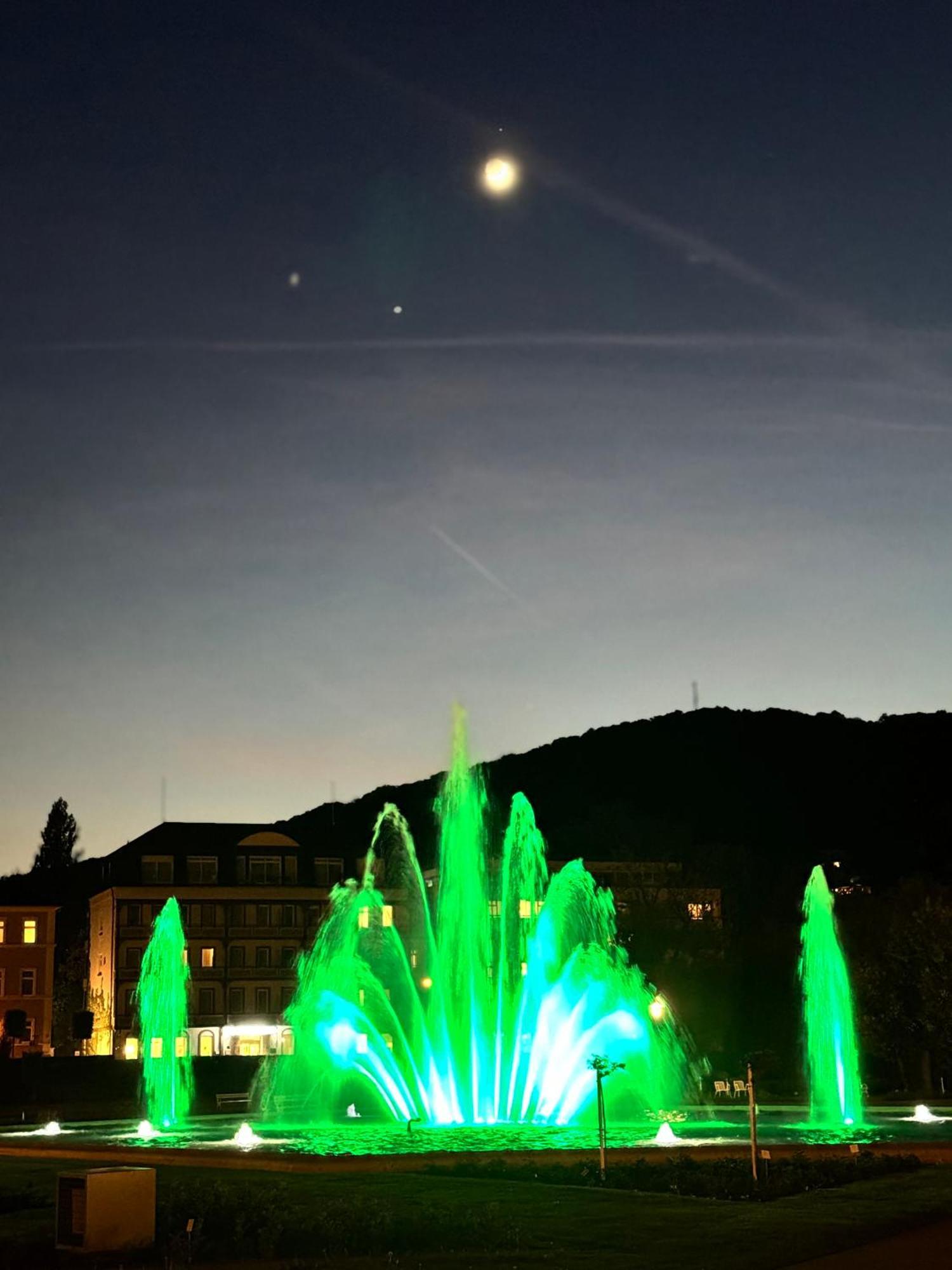 Apartments Gala, Ruhige Lage, Stadtnah Bad Kissingen Buitenkant foto