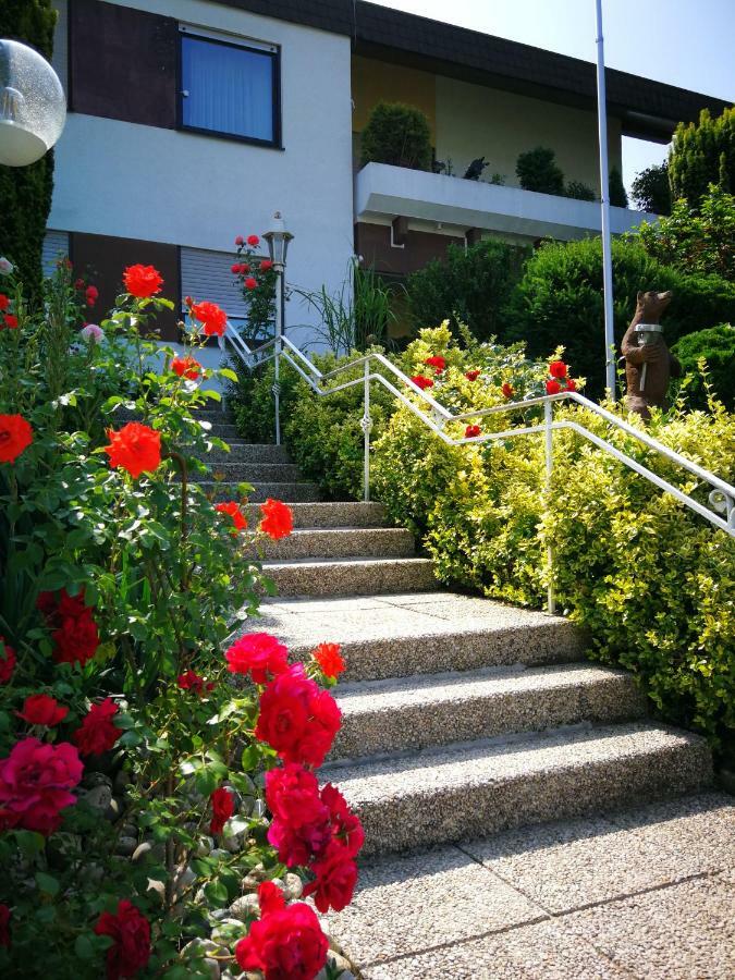 Apartments Gala, Ruhige Lage, Stadtnah Bad Kissingen Buitenkant foto
