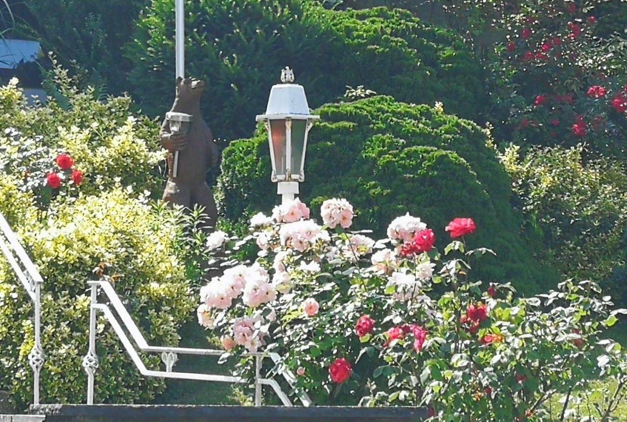 Apartments Gala, Ruhige Lage, Stadtnah Bad Kissingen Buitenkant foto