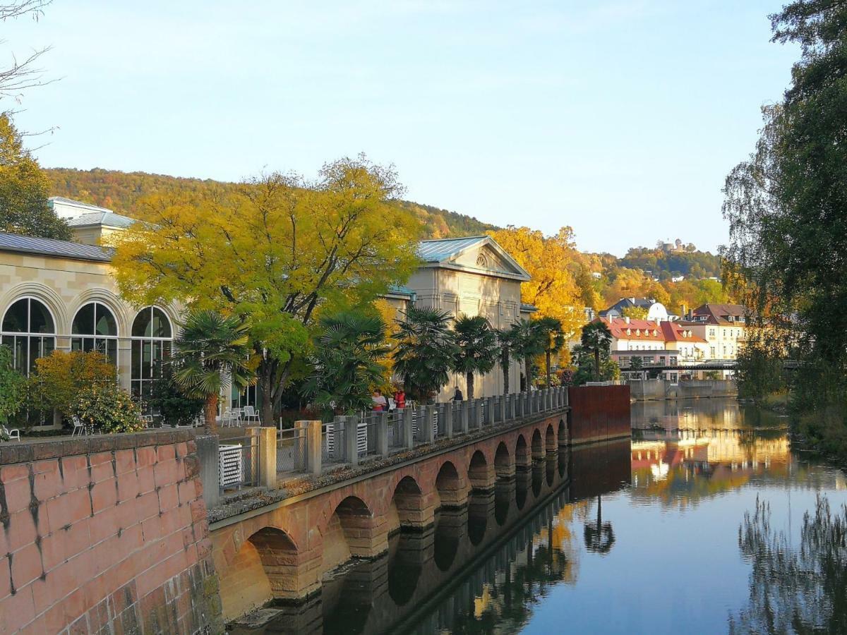 Apartments Gala, Ruhige Lage, Stadtnah Bad Kissingen Buitenkant foto
