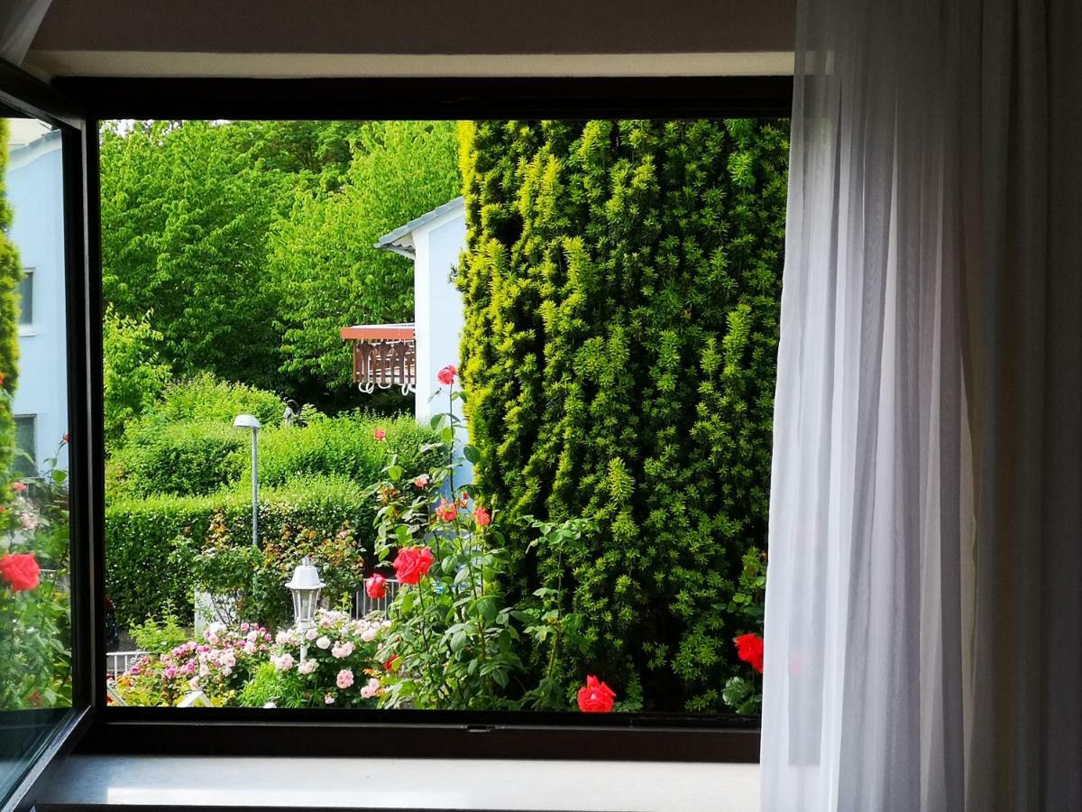 Apartments Gala, Ruhige Lage, Stadtnah Bad Kissingen Buitenkant foto