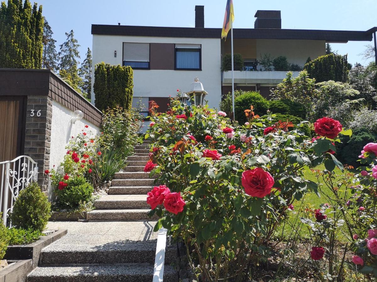 Apartments Gala, Ruhige Lage, Stadtnah Bad Kissingen Buitenkant foto